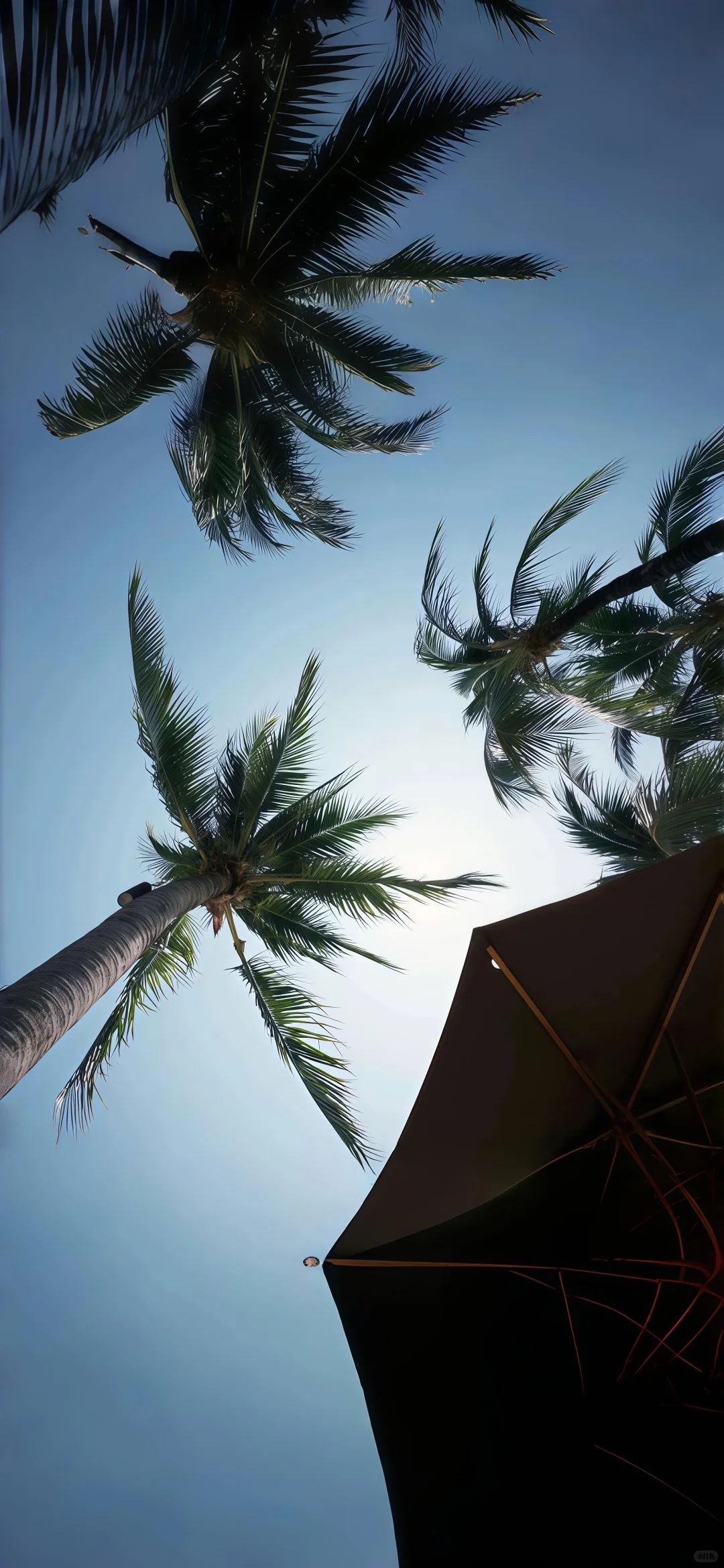 壁纸｜冬天的浪漫❄️