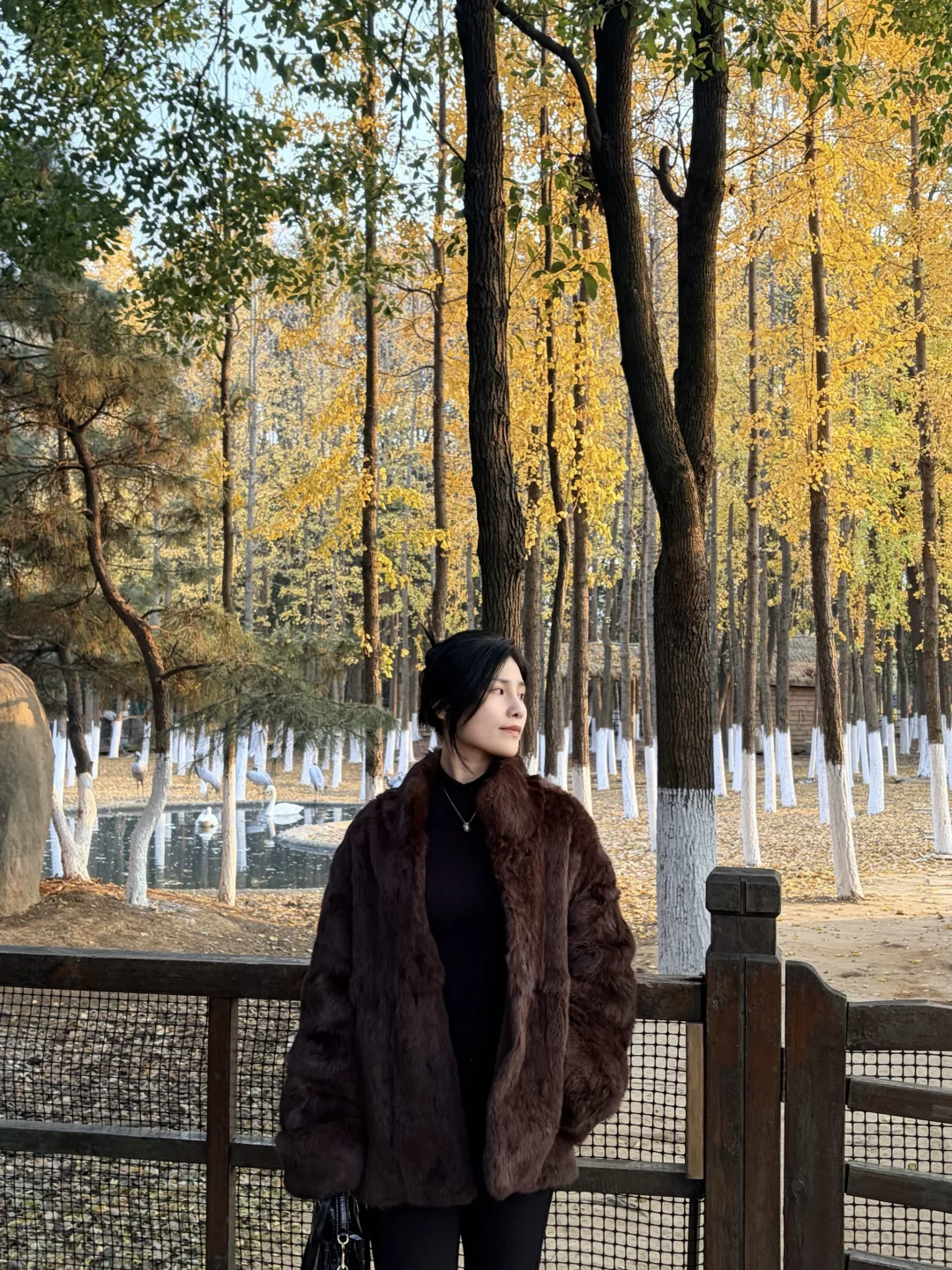 好喜欢我的下颚骨