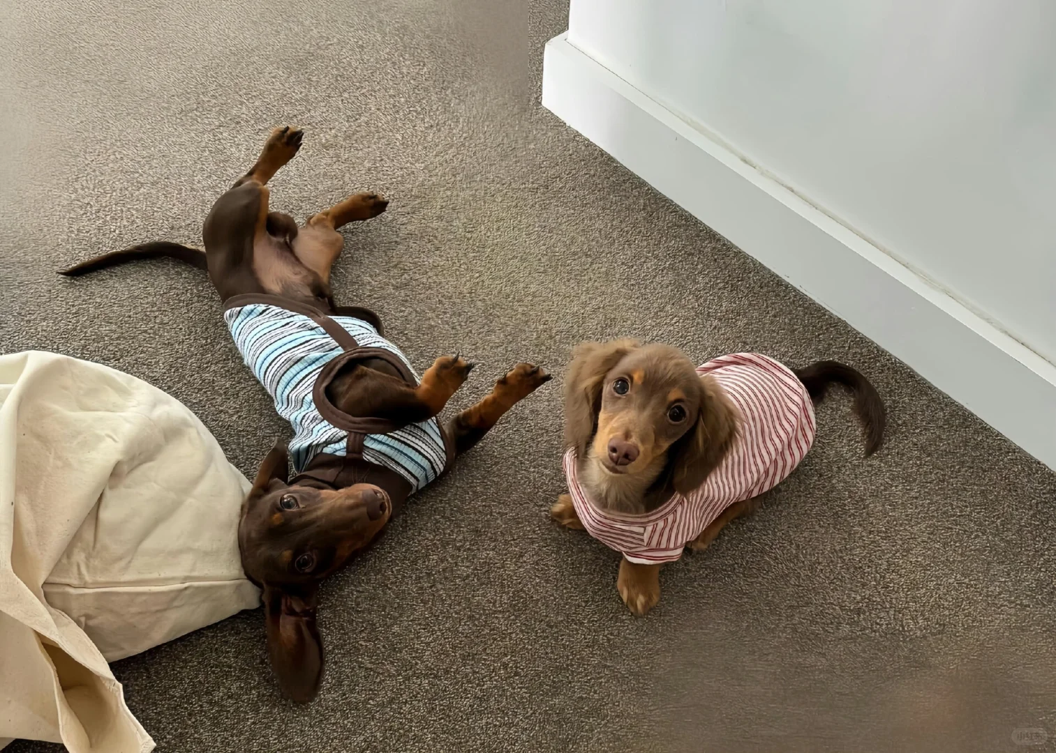 iPad/电脑壁纸～