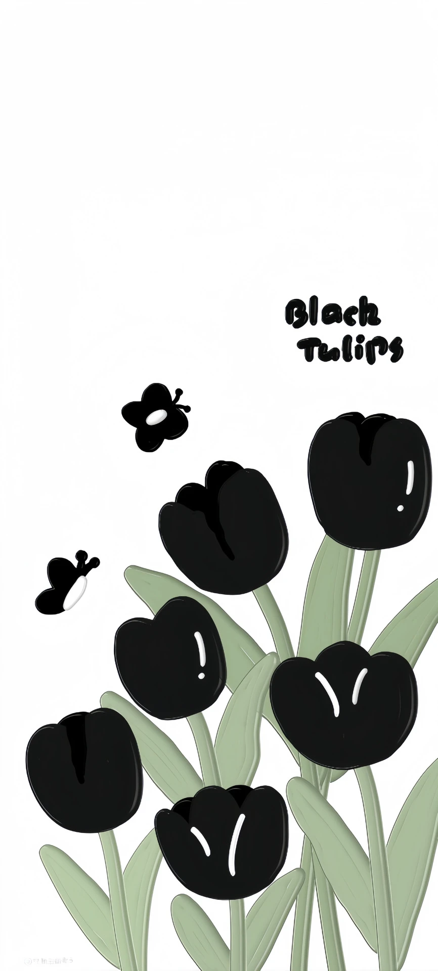 手机壁纸|高清壁纸 🍮