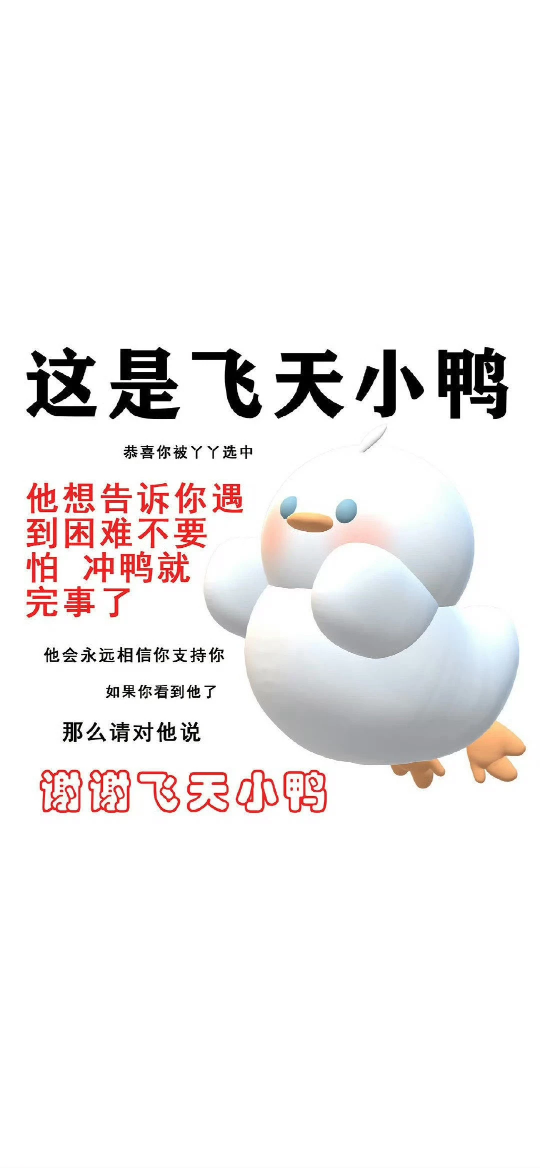 𝑺𝒉𝒂𝒓𝒆｜简约白底锁屏壁纸