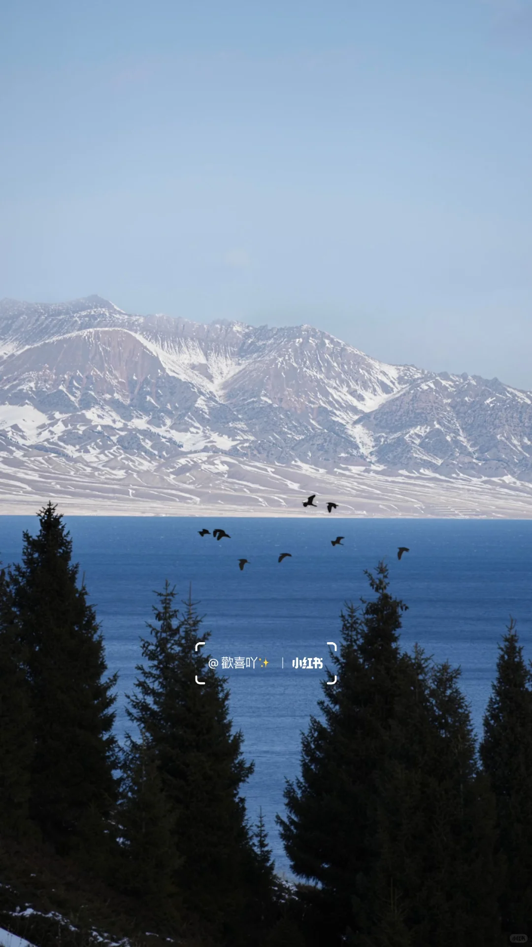 𝐖𝐚𝐥𝐥𝐚𝐩𝐚𝐩𝐞𝐫｜ins风壁纸