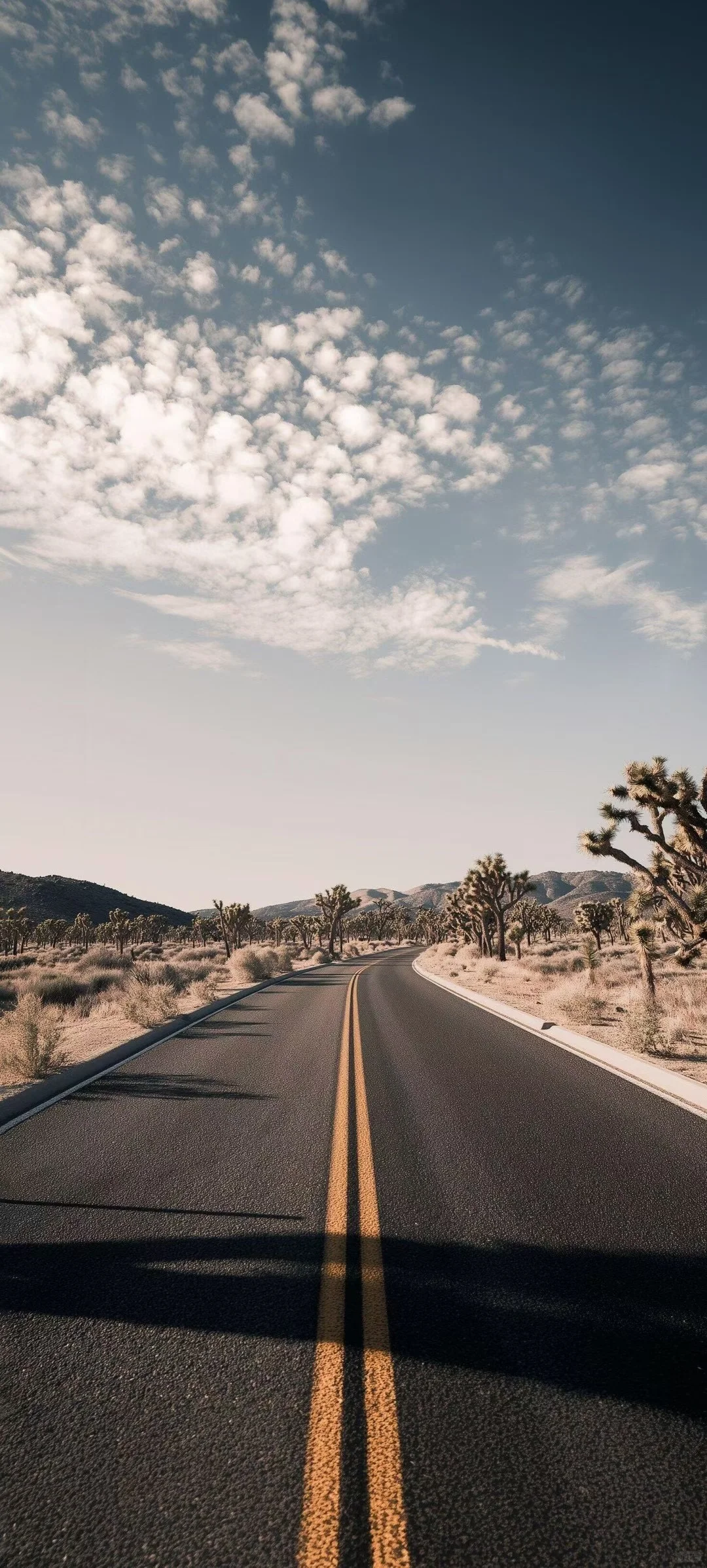 是谁还没有这么好看的氛围感壁纸？