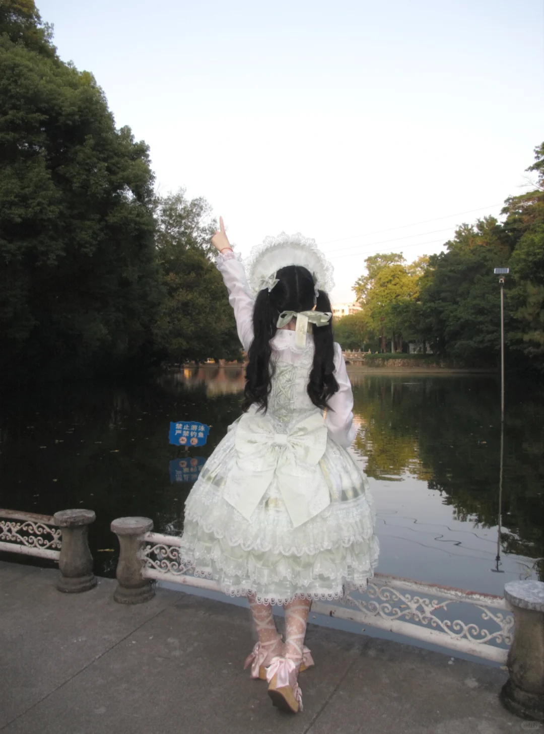 圣诞g若草，在湖边拍的，好美