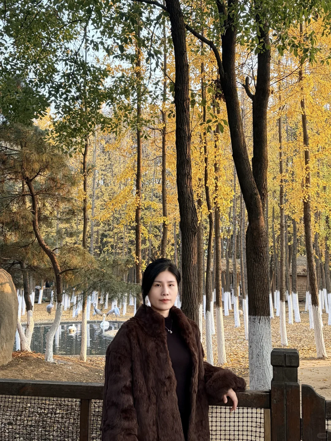 好喜欢我的下颚骨