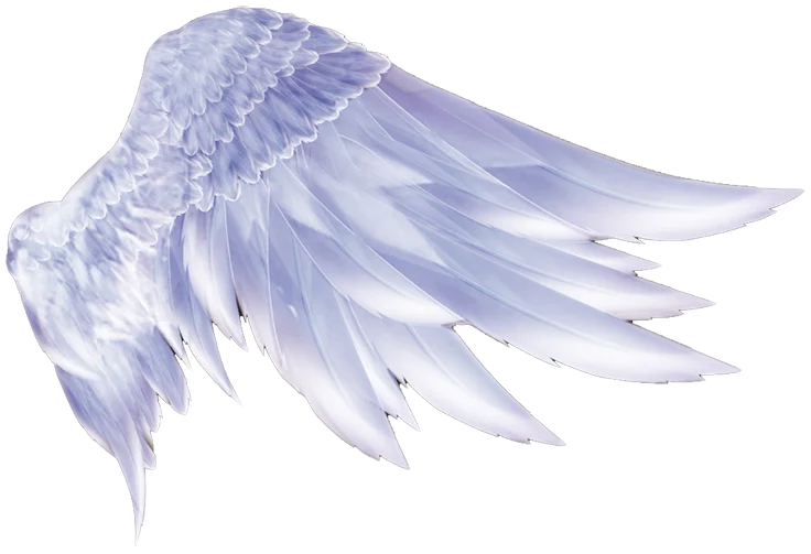 特效素材｜白色翅膀羽毛天使png后期贴图
