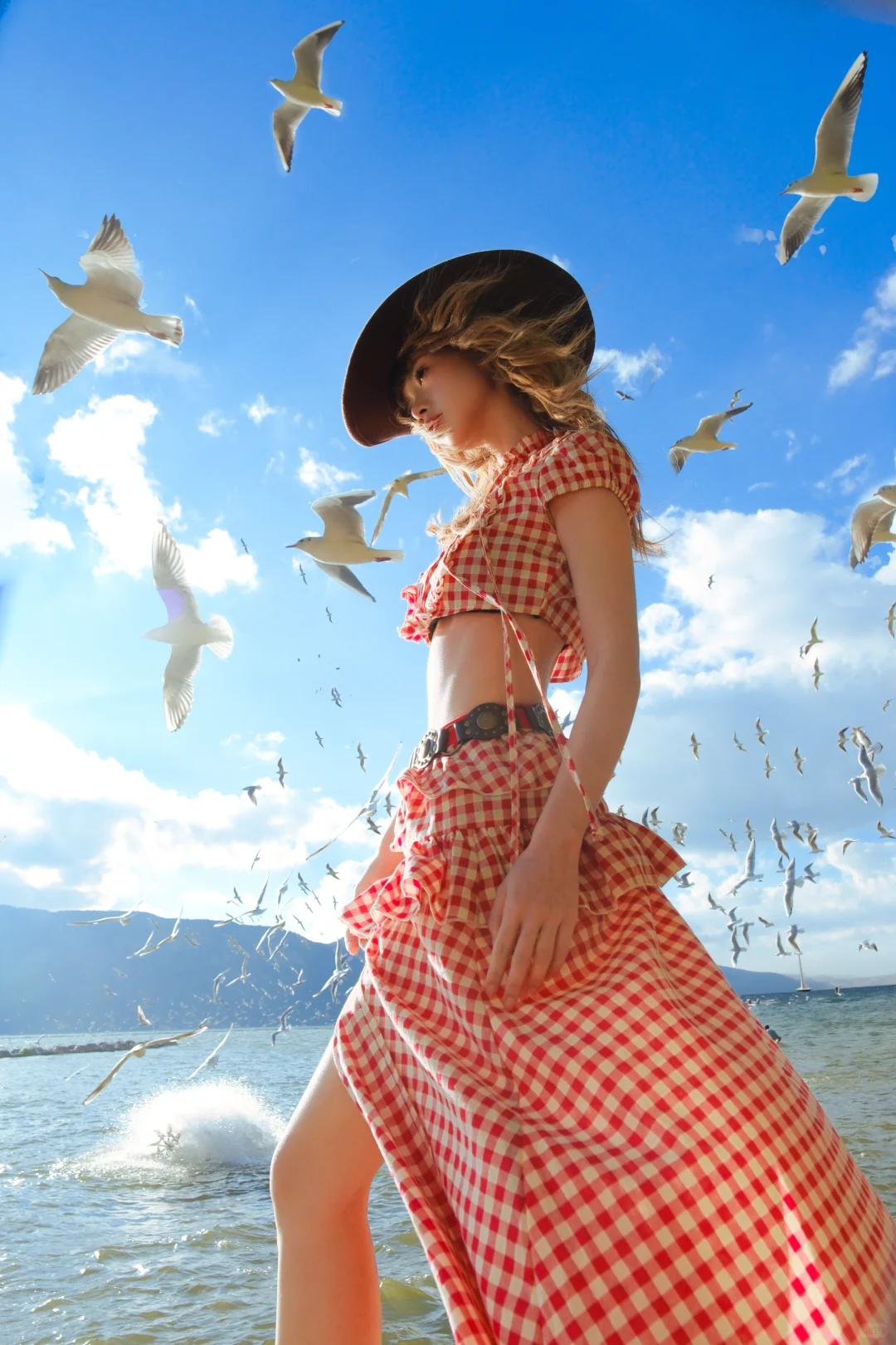 昆明海鸥 从不失约的白色天使🪽