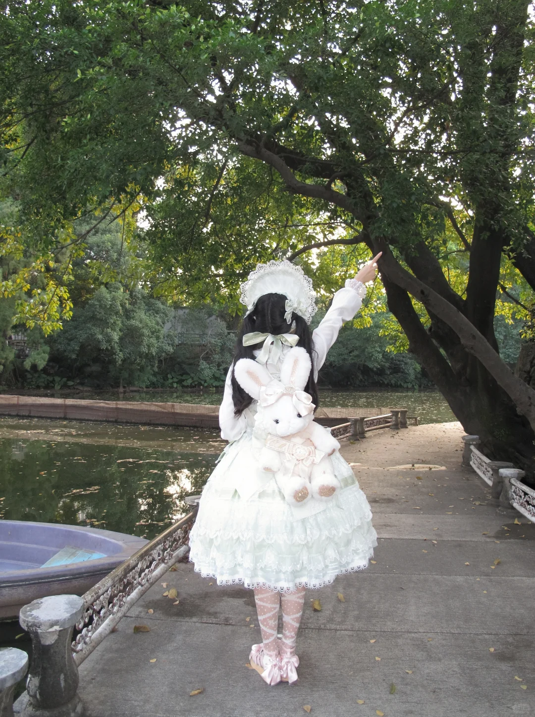 圣诞g若草，在湖边拍的，好美