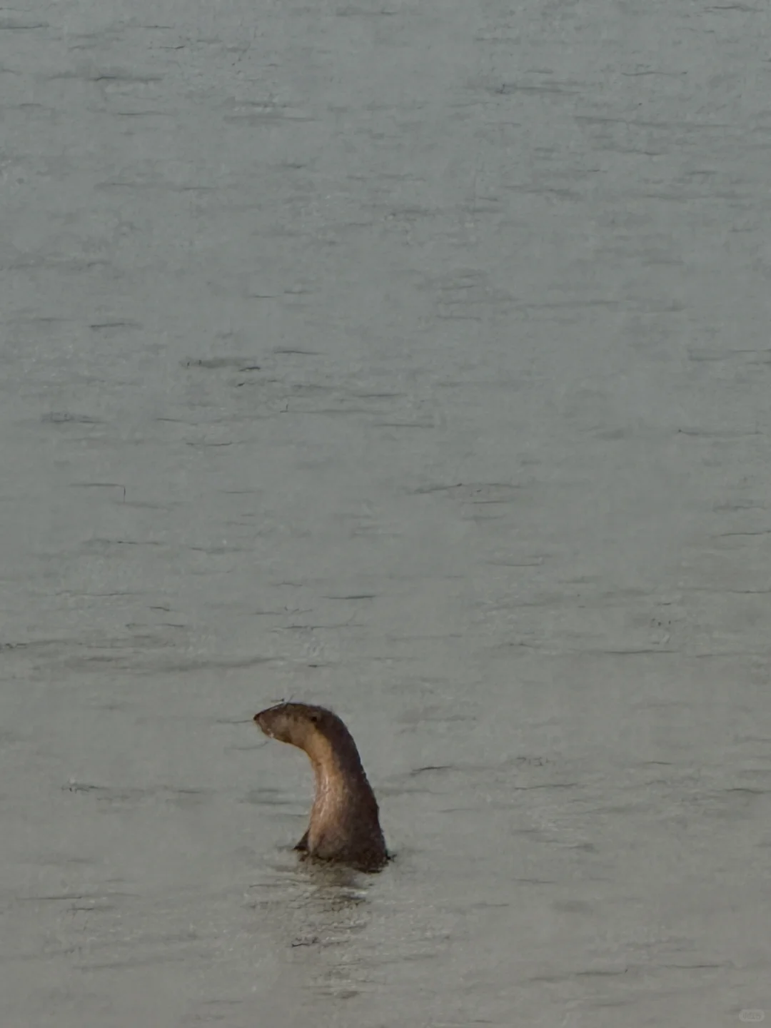 谁到海边穿衬衫啊 反正到最后都要tuo了