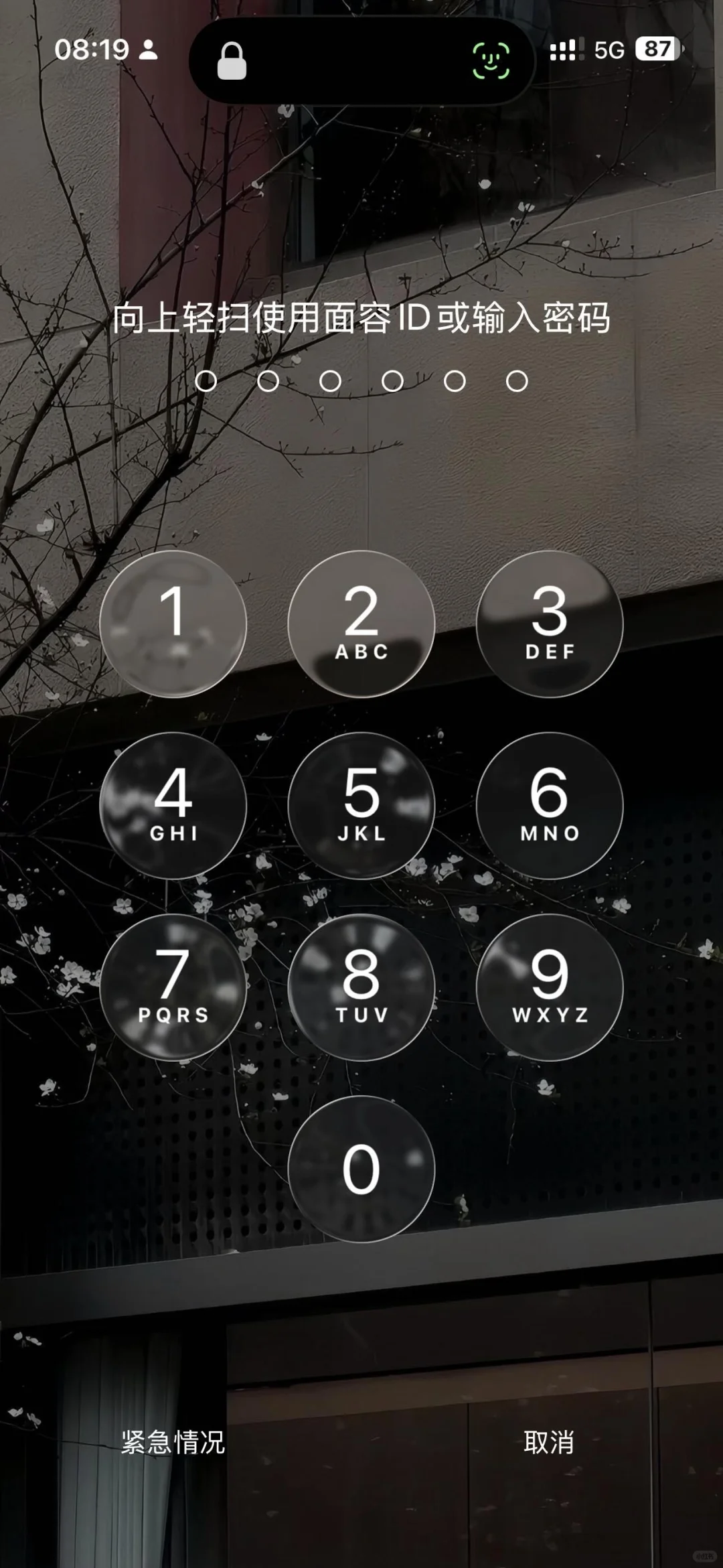 🖤悠闲时光赏樱🌸手机壁纸