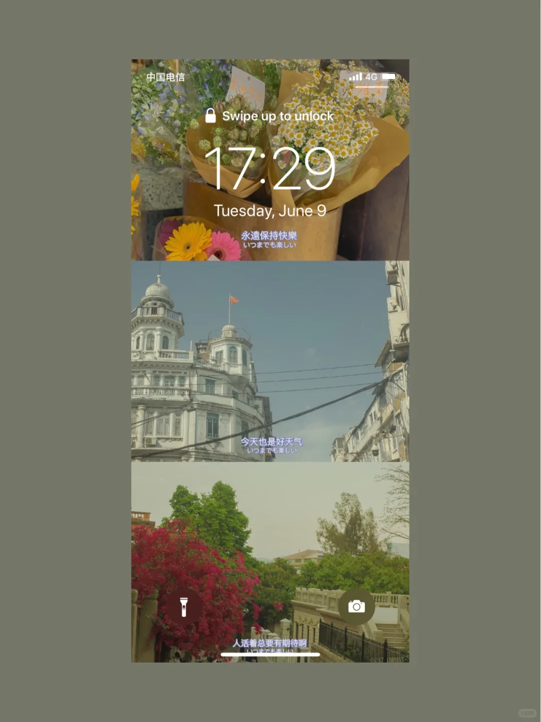 Joan私藏手机壁纸分享｜『第6期』