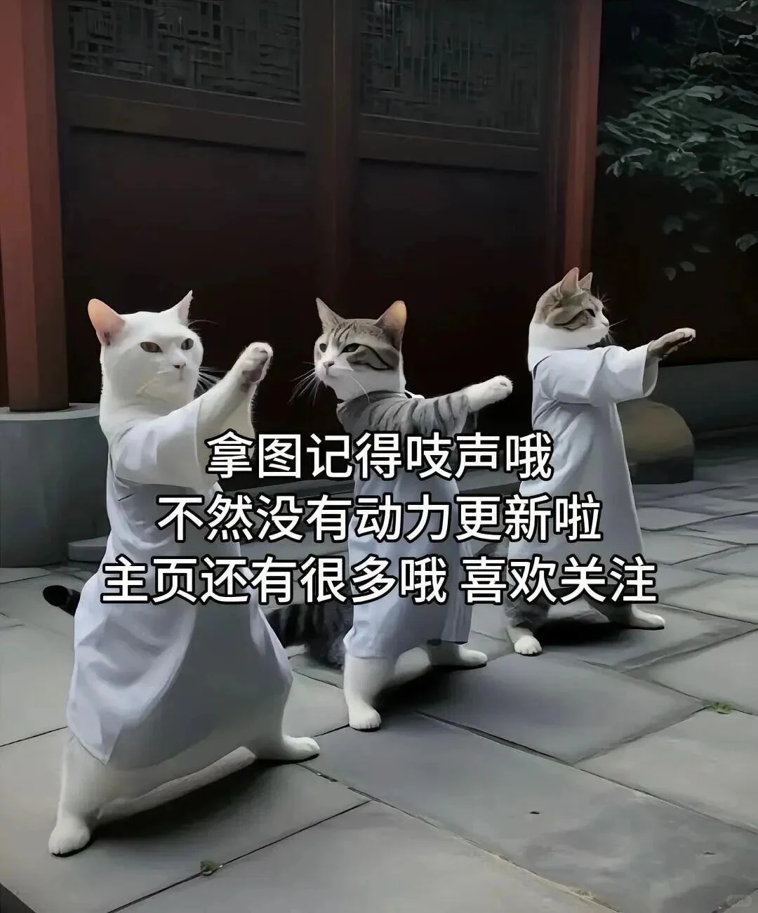 今日份iPad壁纸分享