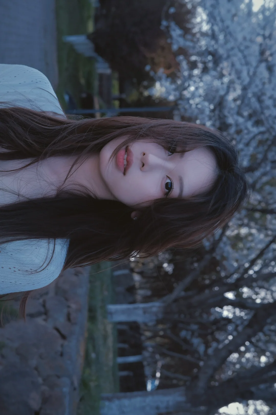 不必因为自己长得不够网感而自卑🦋