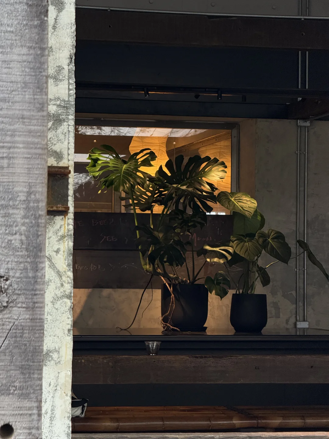 做个很哇噻的中年少女💙