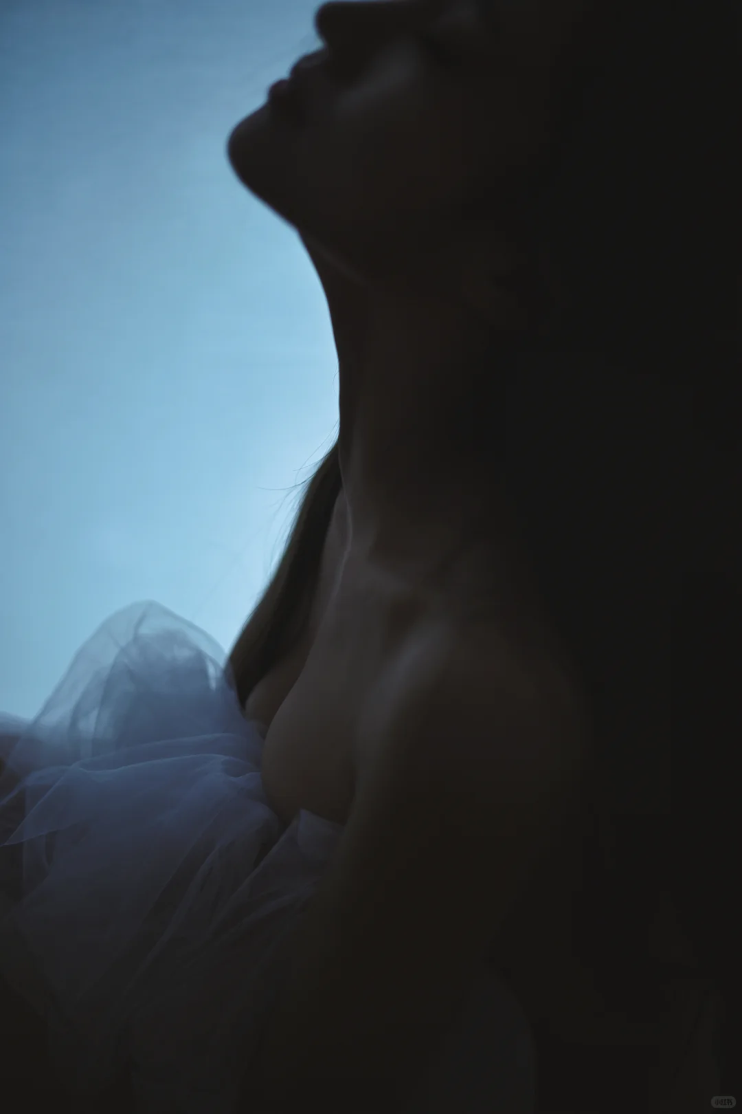 好喜欢的氛围感照片，太美了！