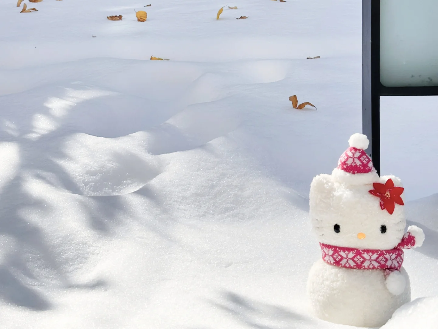 iPad/电脑横屏壁纸❄️