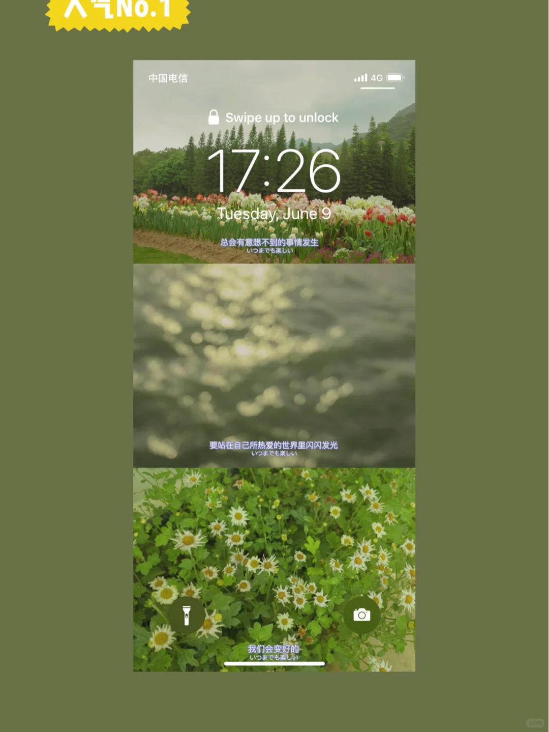 Joan私藏手机壁纸分享｜『第6期』