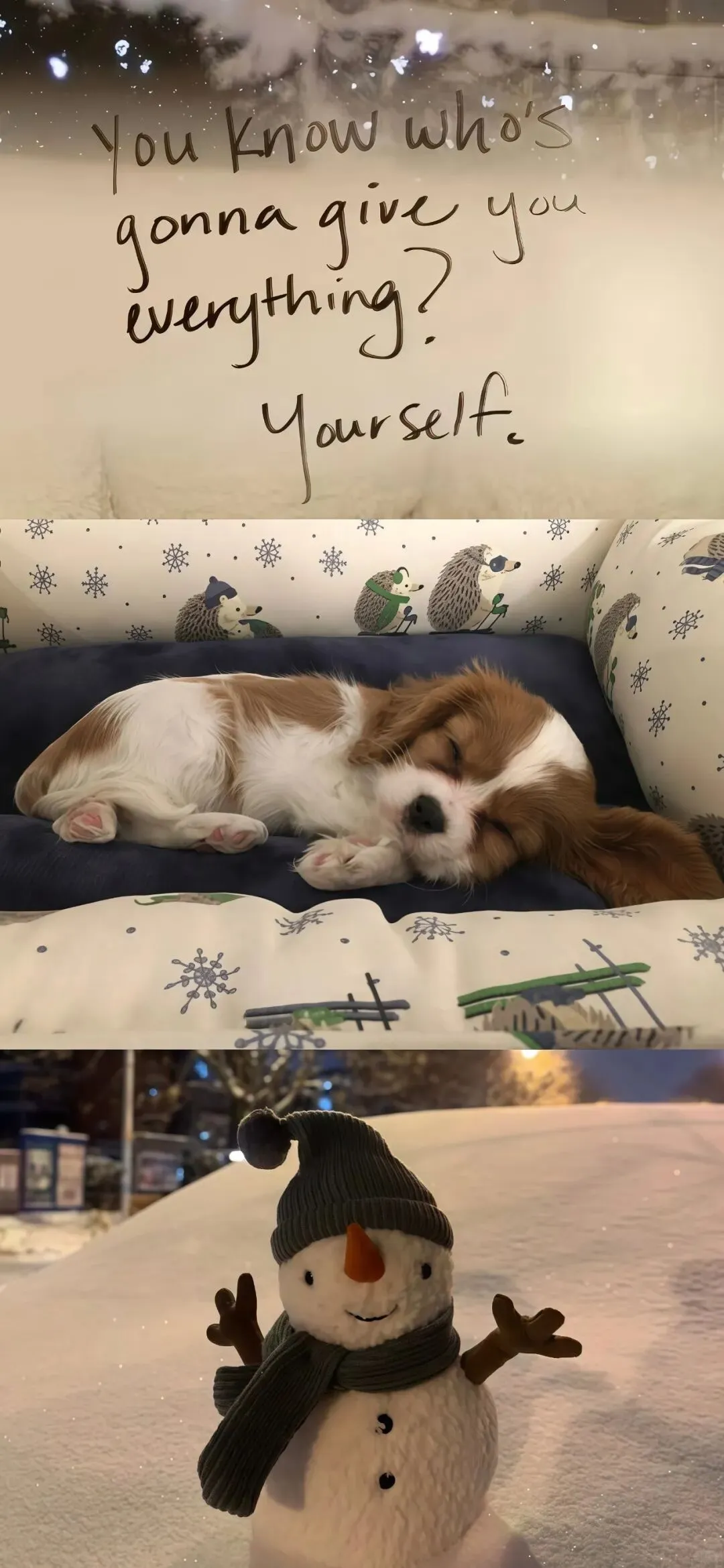 𝐒𝐡𝐚𝐫𝐞 | ins风全屏壁纸