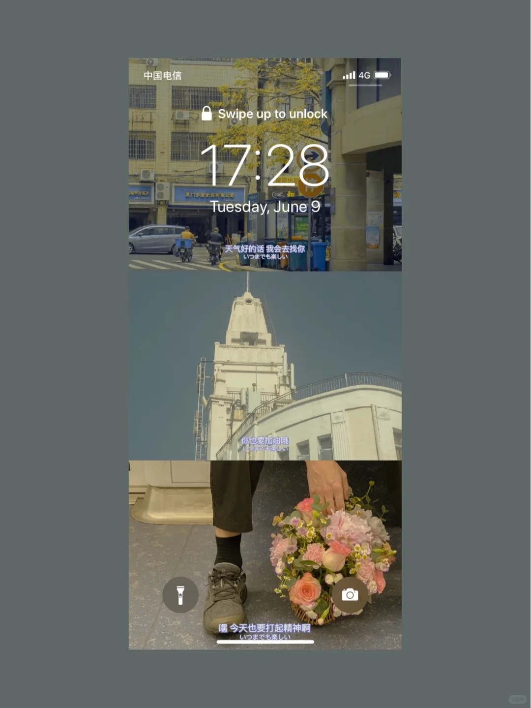 Joan私藏手机壁纸分享｜『第6期』