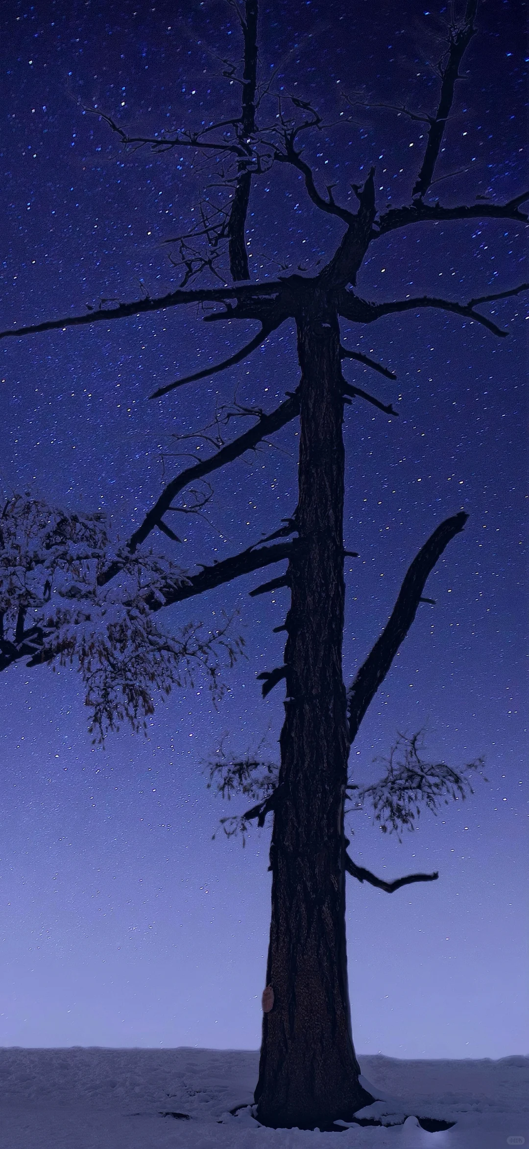 氛围感拉满的壁纸～