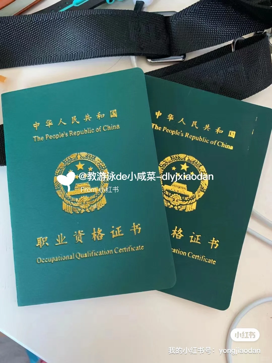 大连高新方向学习游泳的进～