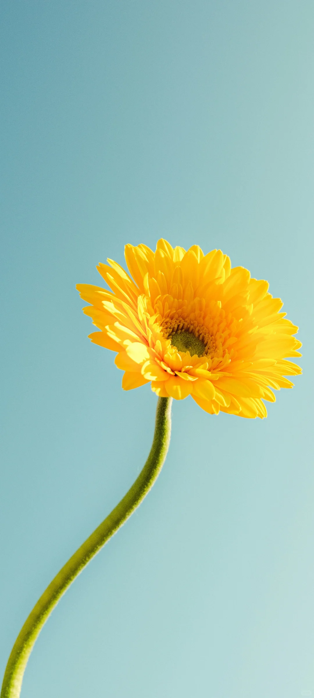 氛围感拉满！解锁手机桌面的高级松弛感！！