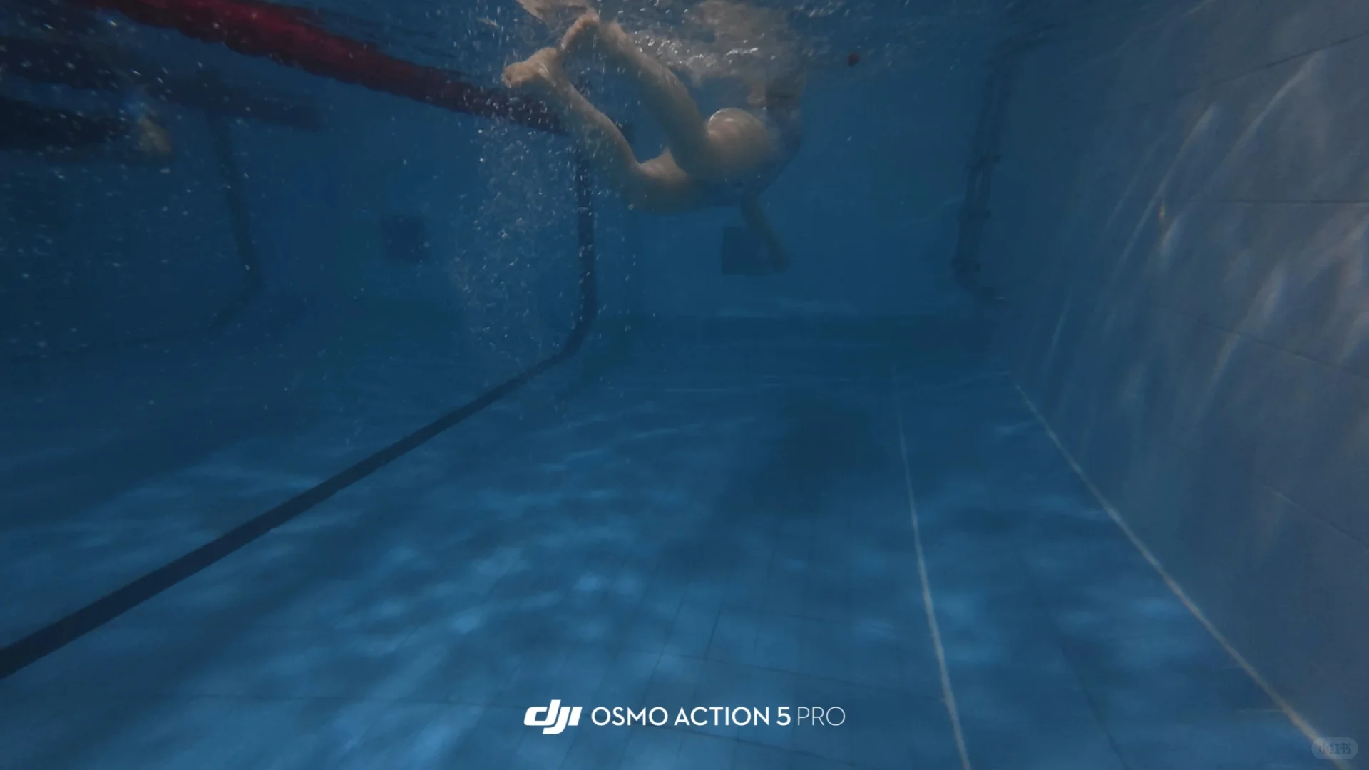 水里才是我的主场🏊🏻‍♀️