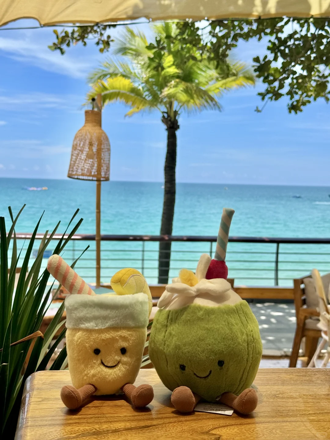 吹海边的风～🥥