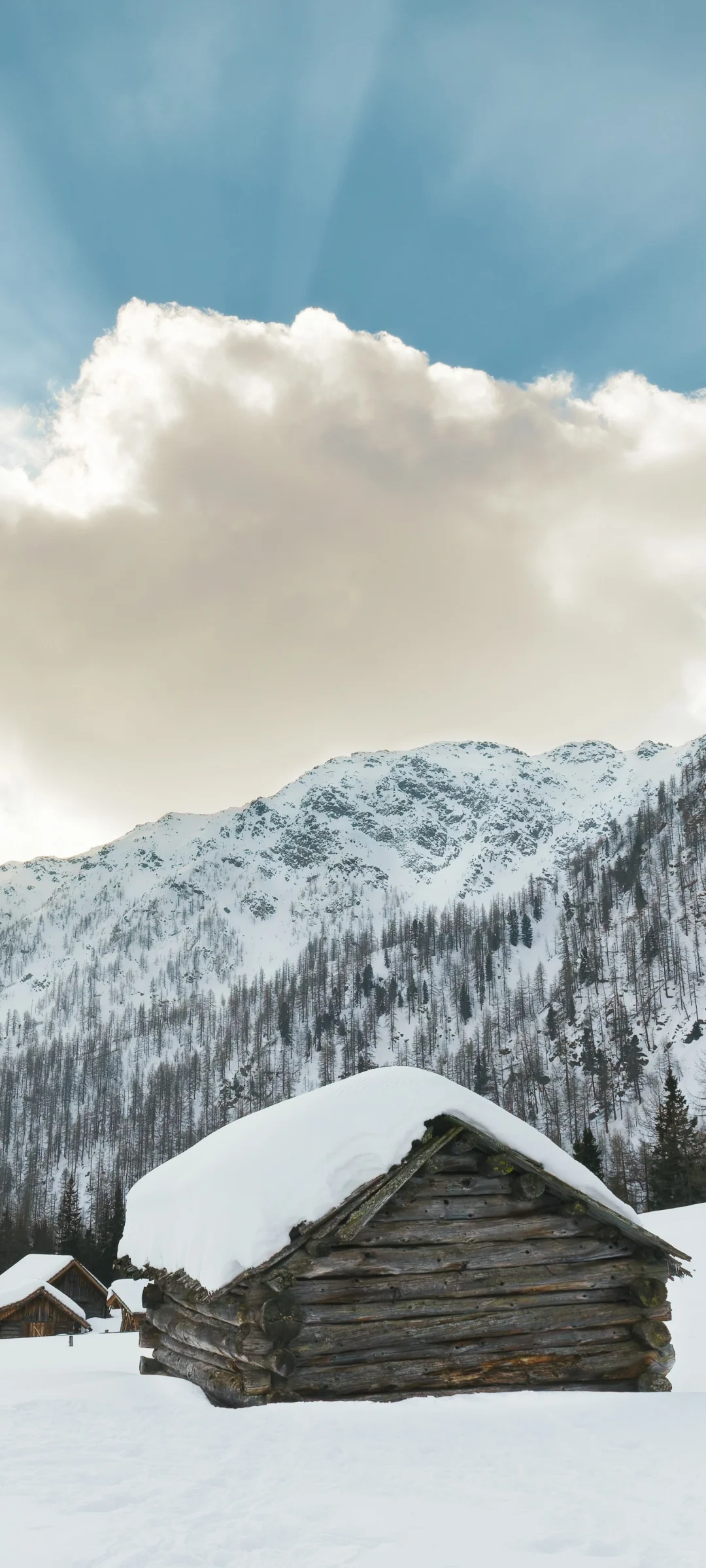 氛围感拉满！解锁手机桌面的高级松弛感！！