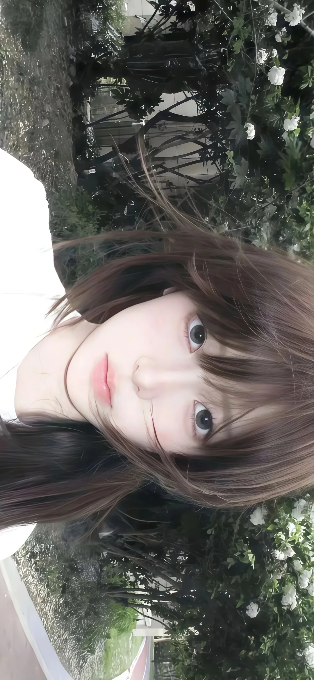 哇塞 真的超美壁纸🧚🏻‍♀️