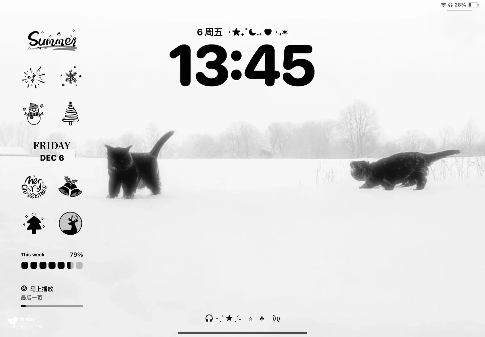 A cat in the snow❄️丨壁纸