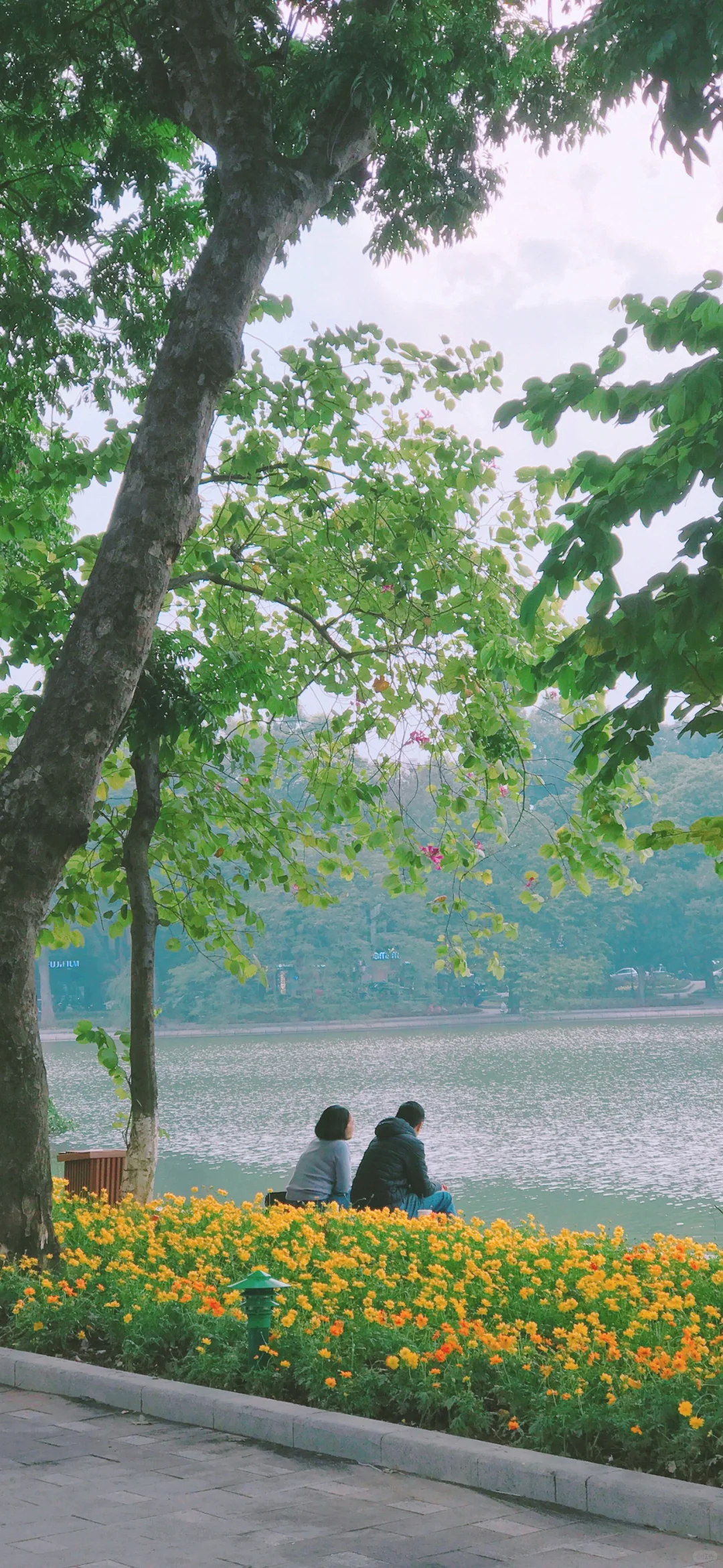 9张高清小众全屏ios壁纸