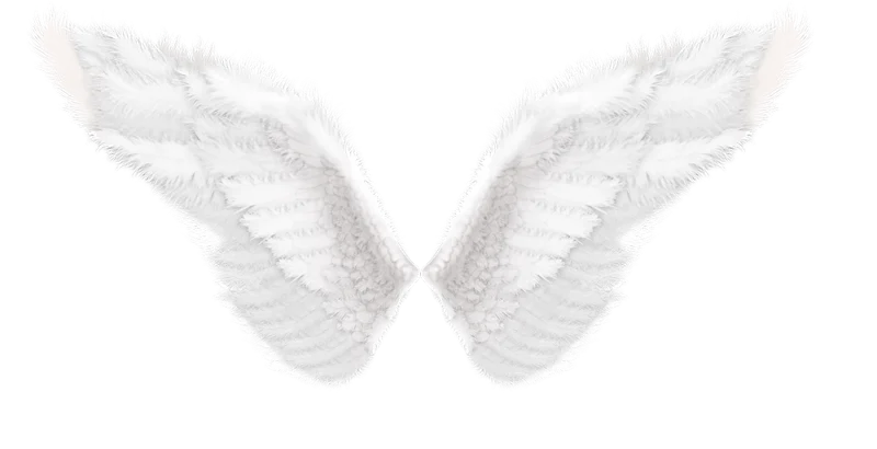 特效素材｜白色翅膀羽毛天使png后期贴图