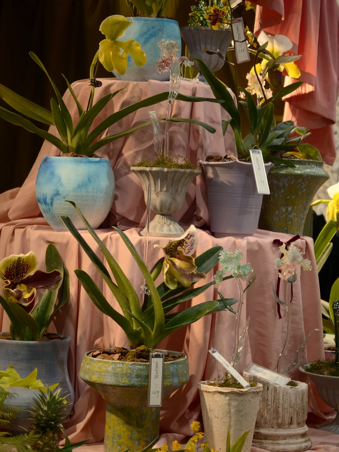 和女明星徐娇去了同一个市集🪞上海过森日