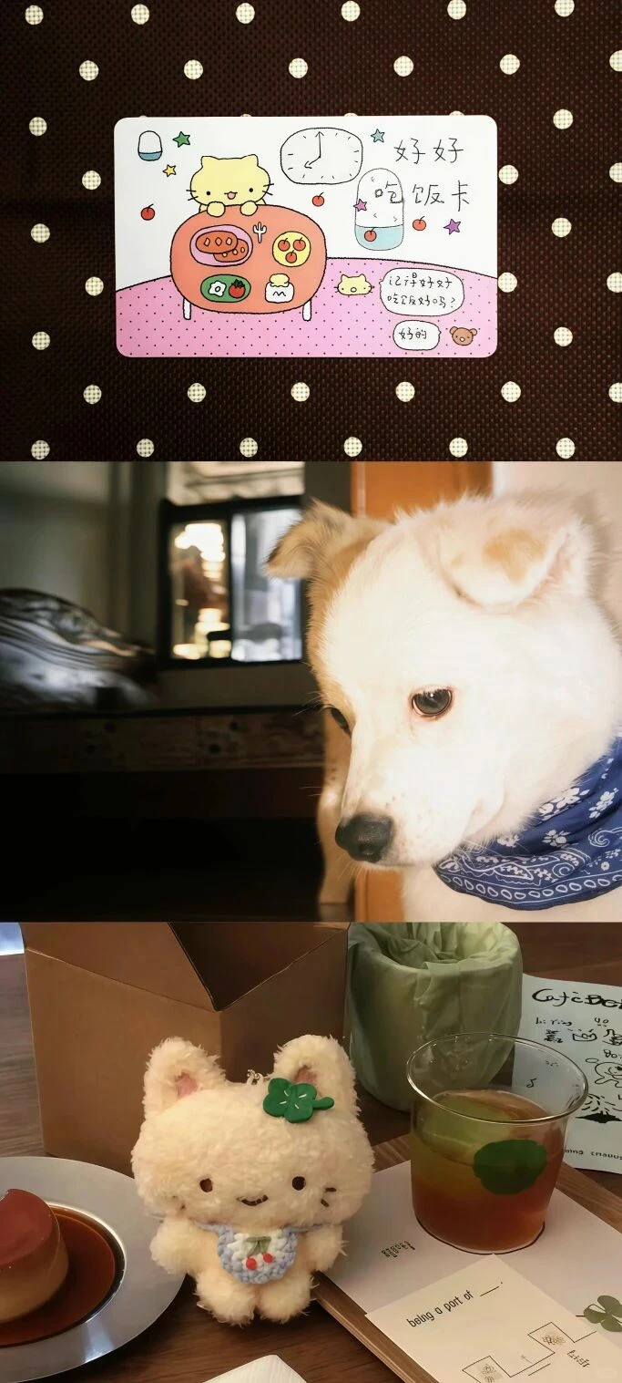 每日壁纸｜🐶🐶🐶