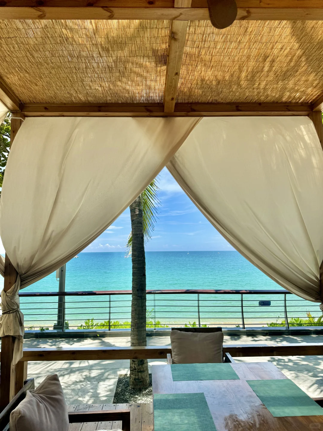 吹海边的风～🥥