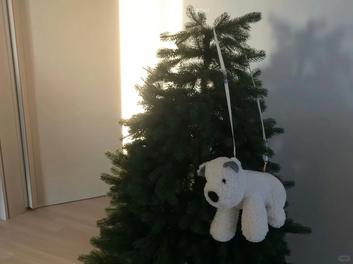 iPad/电脑横屏壁纸❄️