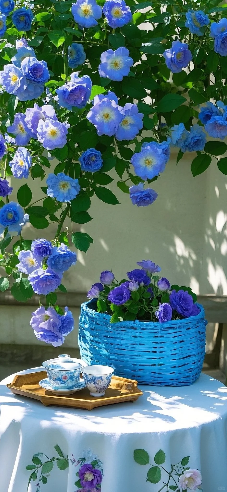 超清壁纸：一组清新的早安壁纸