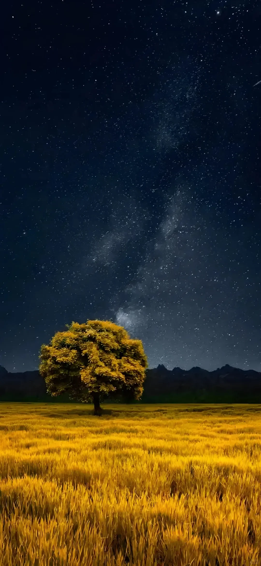 14张不同风格的好看的手机壁纸！