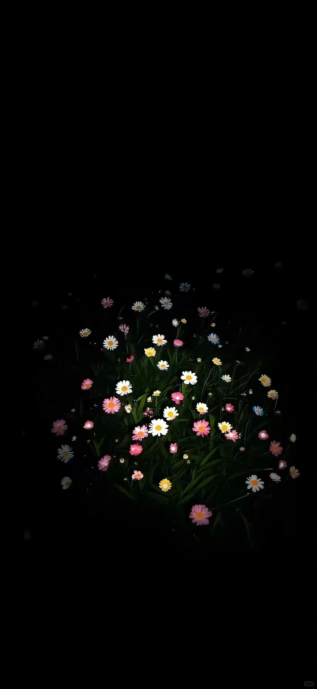 氛围感壁纸、花花壁纸