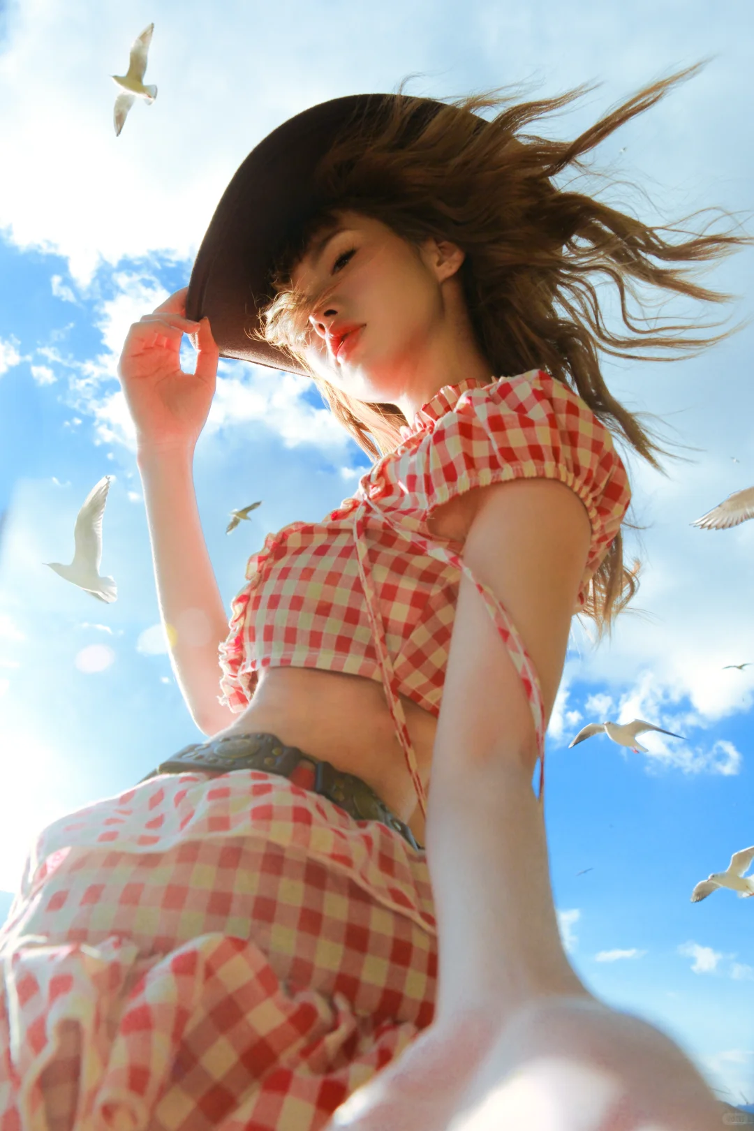 昆明海鸥 从不失约的白色天使🪽