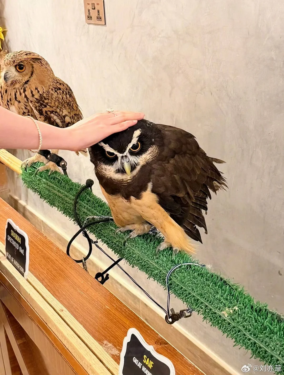 素颜状态也这么好(｡•̀ᴗ-)ok