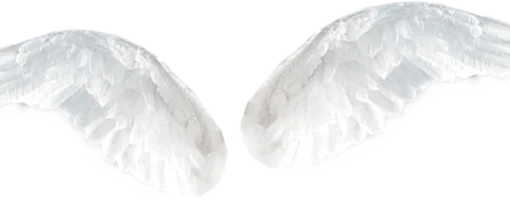 特效素材｜白色翅膀羽毛天使png后期贴图