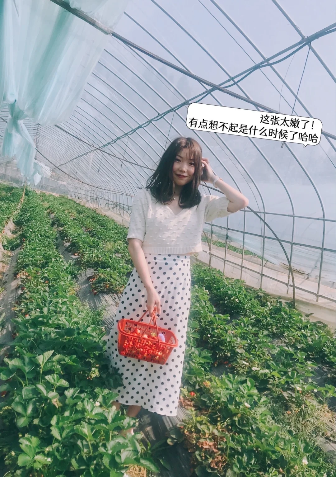 ❤️穿了7年的法式波点裙