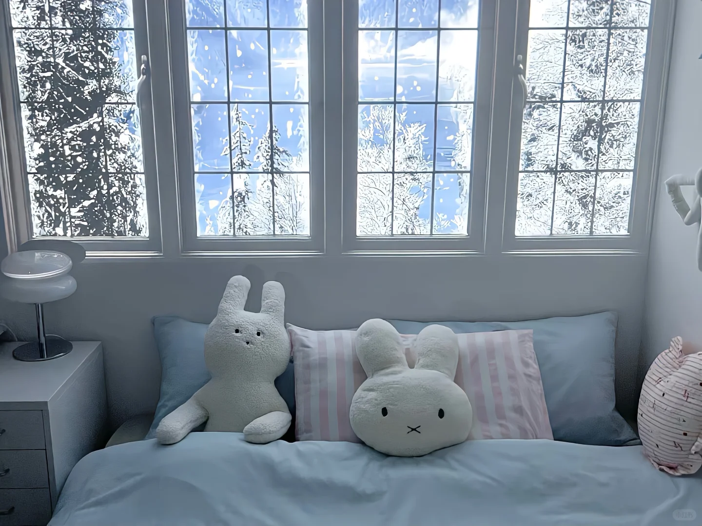 iPad/电脑横屏壁纸❄️