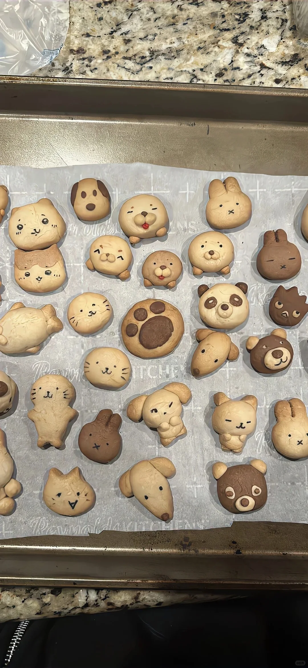 ins风小众氛围感壁纸分享🐱