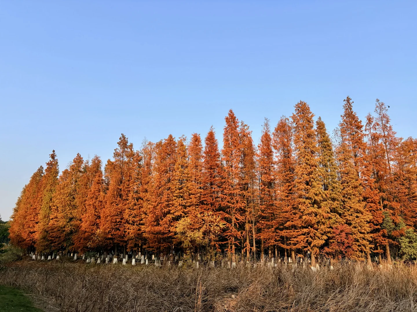 好喜欢我的下颚骨