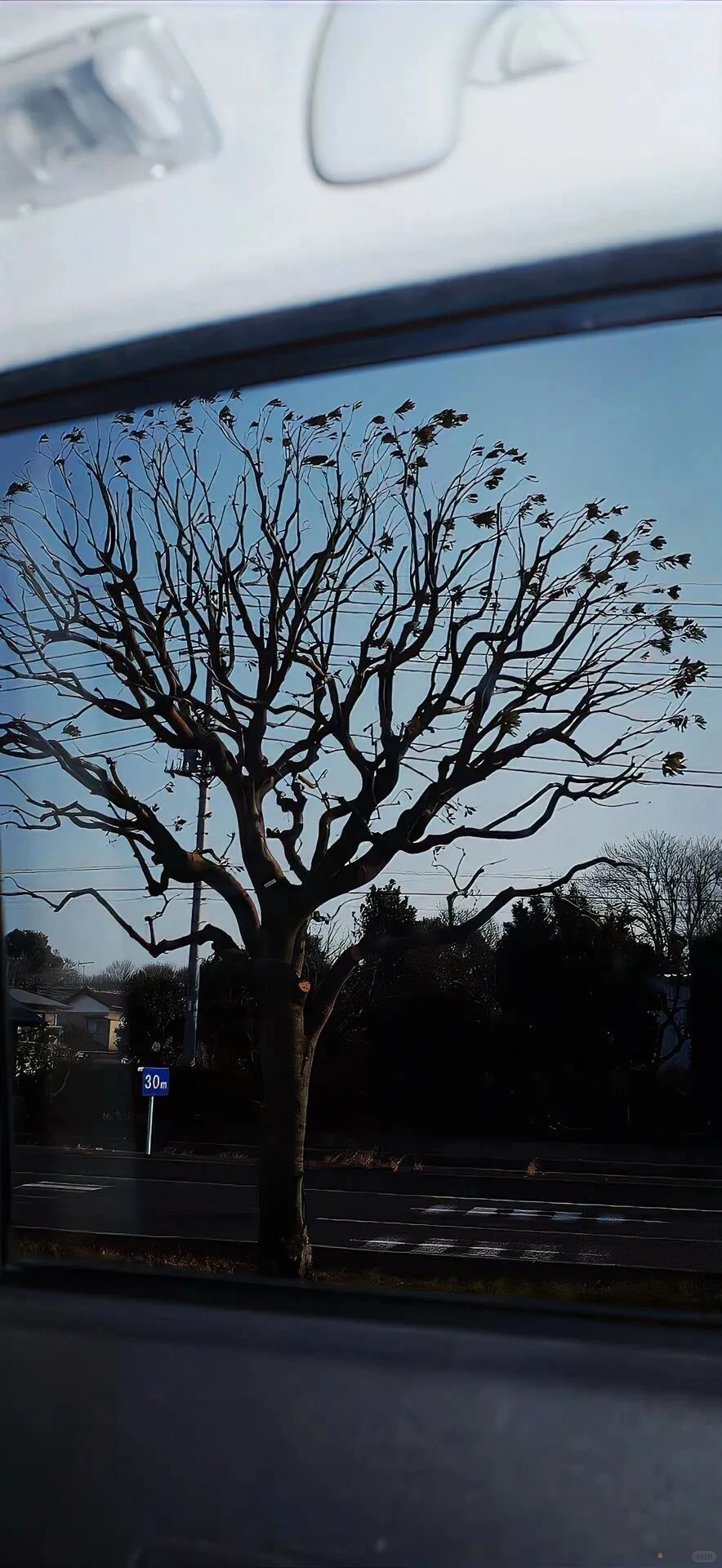 𝐒𝐡𝐚𝐫𝐞 | ins风全屏壁纸