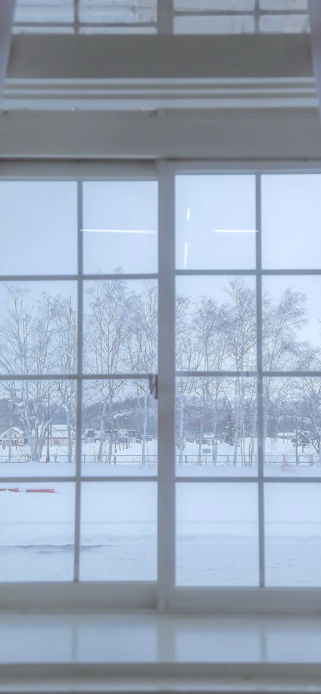 壁纸分享｜ｔｏｄａｙ🤍🩵🩶