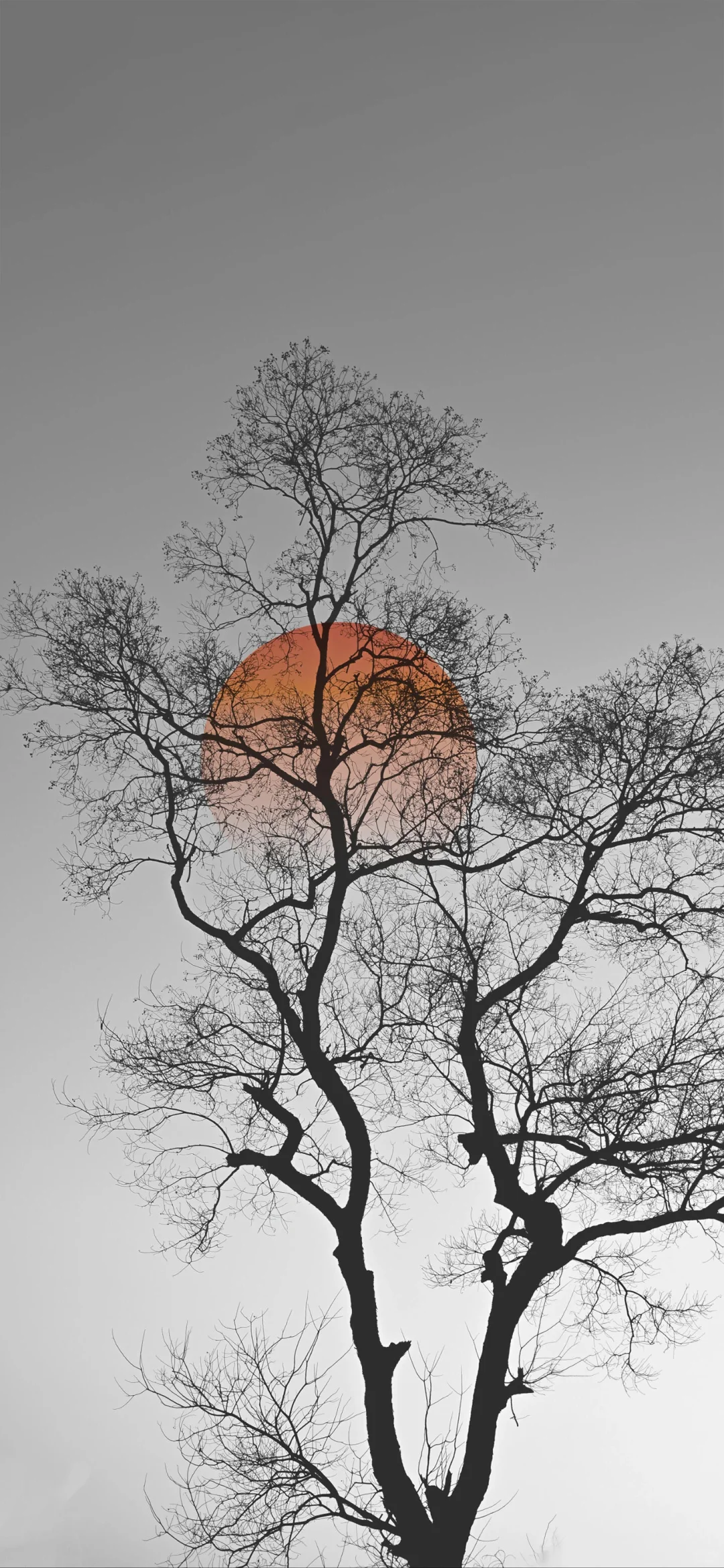 𝐖𝐚𝐥𝐥𝐚𝐩𝐚𝐩𝐞𝐫｜ins风壁纸